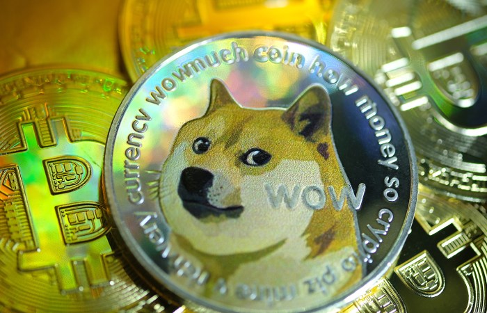 In What Way Do You Pit Dogecoin_