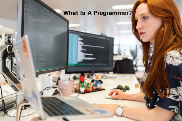 What Is A Programmer? 2022