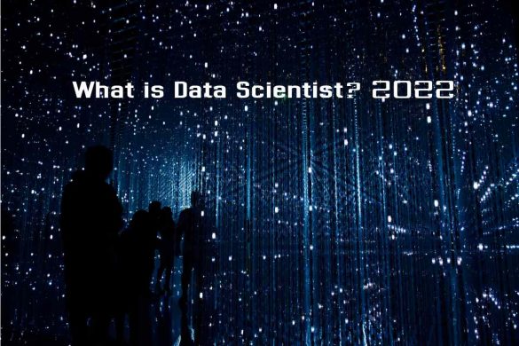 What is Data Scientist_ 2022