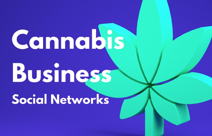 What does the Cannabis Business Social Network Recommend_