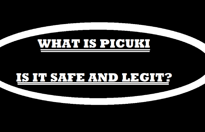 Is Picuki Safe and Legal_
