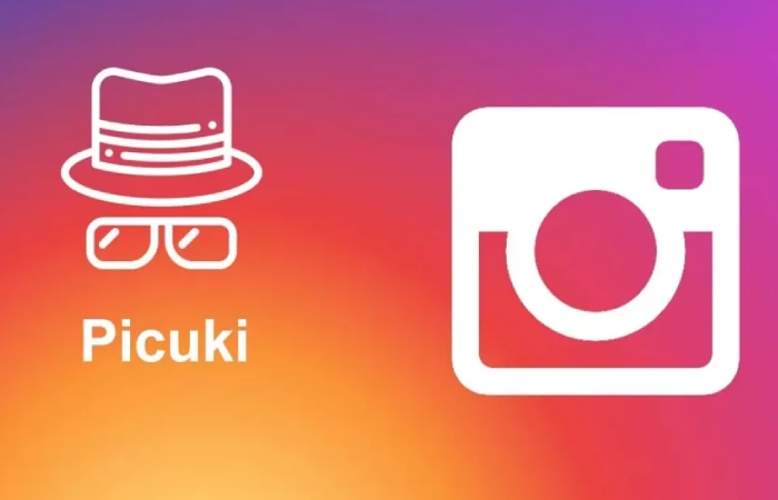 Is it Anonymous Viewing Instagram Using Picuki_ Explain It With Benefits.