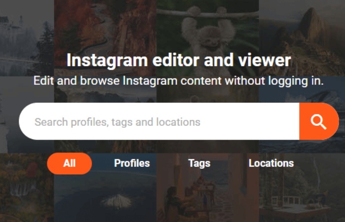 The Steps to Use Picuki to View Instagram Profiles and Posts