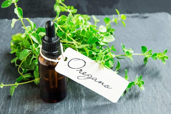 Oil Of Oregano - Health Benefits, Side Effects And More